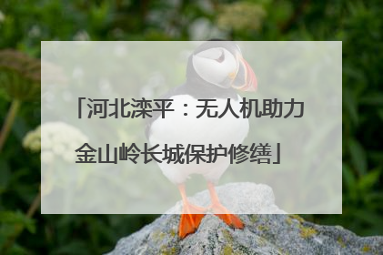 河北滦平：无人机助力金山岭长城保护修缮