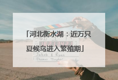 河北衡水湖：近万只夏候鸟进入繁殖期