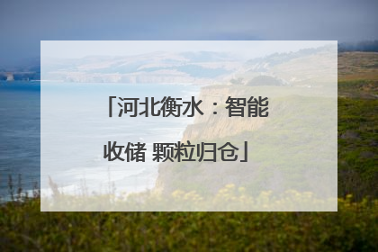 河北衡水：智能收储 颗粒归仓
