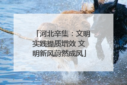 河北辛集：文明实践提质增效 文明新风蔚然成风