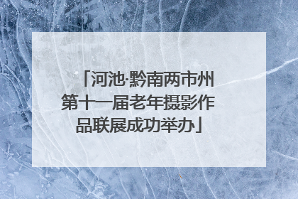 河池·黔南两市州第十一届老年摄影作品联展成功举办