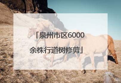 泉州市区6000余株行道树修剪