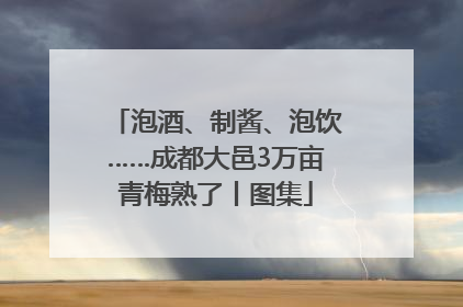 泡酒、制酱、泡饮……成都大邑3万亩青梅熟了丨图集