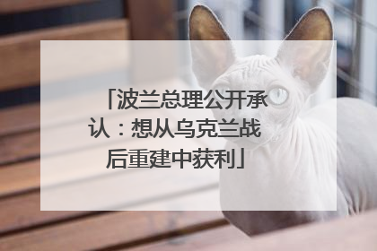 波兰总理公开承认：想从乌克兰战后重建中获利