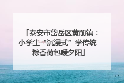 泰安市岱岳区黄前镇：小学生“沉浸式”学传统 粽香荷包暖夕阳