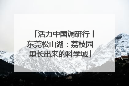 活力中国调研行丨东莞松山湖：荔枝园里长出来的科学城
