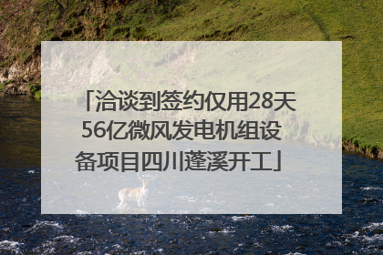 洽谈到签约仅用28天 56亿微风发电机组设备项目四川蓬溪开工