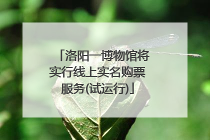 洛阳一博物馆将实行线上实名购票服务(试运行)