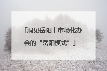 洞见岳阳丨市场化办会的“岳阳模式”