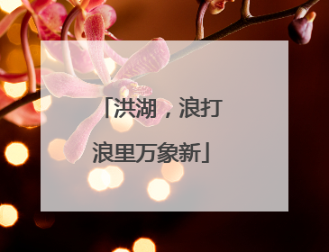 洪湖，浪打浪里万象新