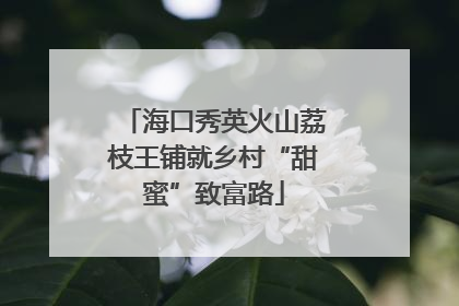 海口秀英火山荔枝王铺就乡村“甜蜜”致富路