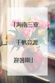 海南三亚：千帆竞渡迎暑期