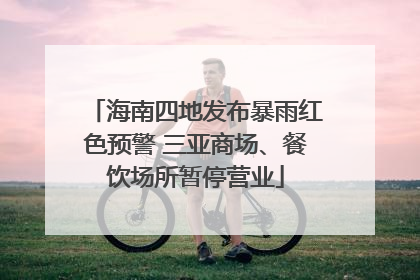 海南四地发布暴雨红色预警 三亚商场、餐饮场所暂停营业
