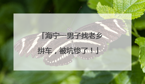海宁一男子找老乡拼车，被坑惨了！