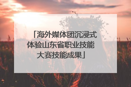 海外媒体团沉浸式体验山东省职业技能大赛技能成果