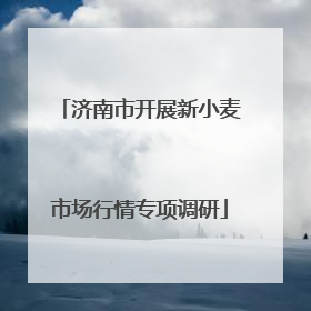 济南市开展新小麦市场行情专项调研