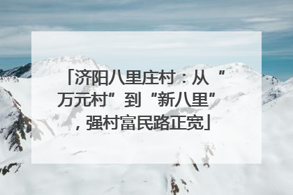 济阳八里庄村：从“万元村”到“新八里”，强村富民路正宽