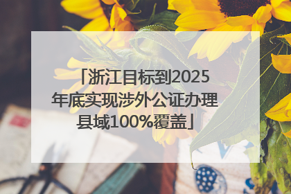 浙江目标到2025年底实现涉外公证办理县域100%覆盖