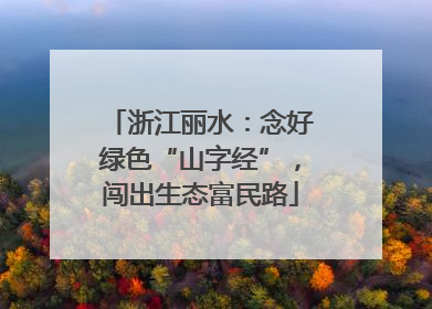 浙江丽水：念好绿色“山字经”，闯出生态富民路