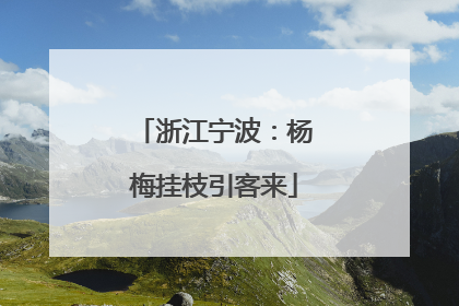 浙江宁波：杨梅挂枝引客来