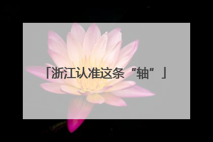 浙江认准这条“轴”