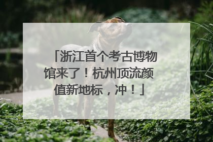 浙江首个考古博物馆来了！杭州顶流颜值新地标，冲！