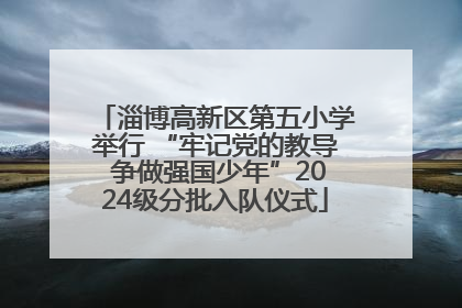 淄博高新区第五小学举行 “牢记党的教导 争做强国少年”2024级分批入队仪式