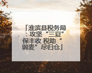 淮滨县税务局：攻坚“三夏”保丰收 税助“弱麦”尽归仓
