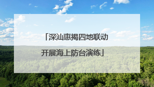 深汕惠揭四地联动开展海上防台演练