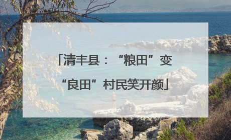 清丰县：“粮田”变“良田”村民笑开颜
