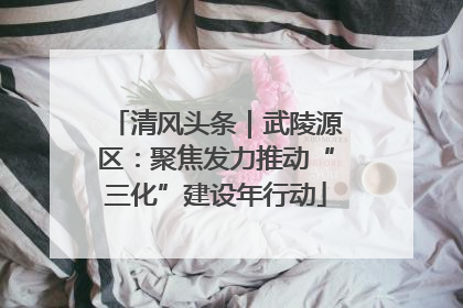 清风头条｜武陵源区：聚焦发力推动“三化”建设年行动