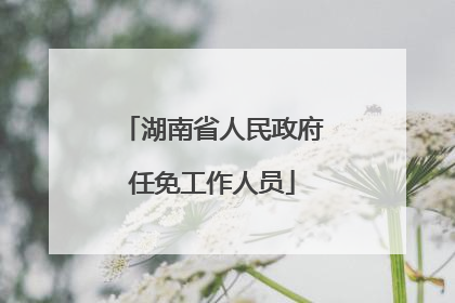 湖南省人民政府任免工作人员
