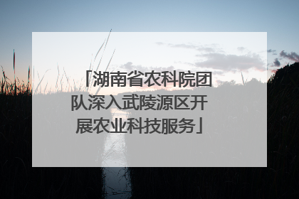 湖南省农科院团队深入武陵源区开展农业科技服务