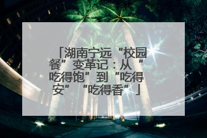 湖南宁远“校园餐”变革记：从“吃得饱”到“吃得安”“吃得香”