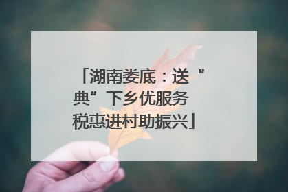 湖南娄底：送“典”下乡优服务 税惠进村助振兴