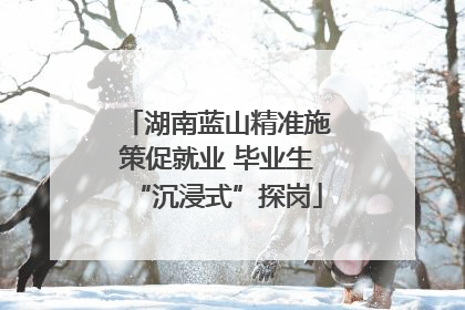 湖南蓝山精准施策促就业 毕业生“沉浸式”探岗
