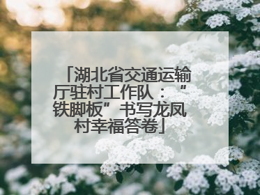 湖北省交通运输厅驻村工作队：“铁脚板”书写龙凤村幸福答卷