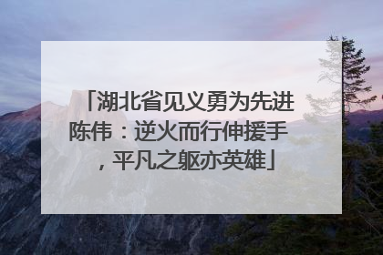 湖北省见义勇为先进陈伟：逆火而行伸援手，平凡之躯亦英雄