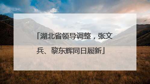 湖北省领导调整，张文兵、黎东辉同日履新