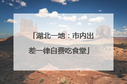 湖北一地：市内出差一律自费吃食堂