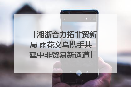 湘浙合力拓非贸新局 雨花义乌携手共建中非贸易新通道