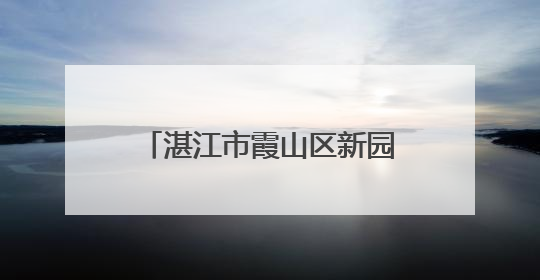 湛江市霞山区新园街道创新推出“出摊办公”移动服务台