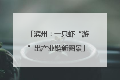 滨州：一只虾“游”出产业链新图景