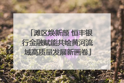 滩区焕新颜 恒丰银行金融赋能共绘黄河流域高质量发展新画卷