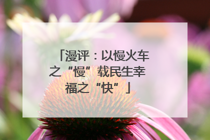 漫评：以慢火车之“慢”载民生幸福之“快”