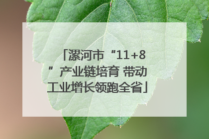 漯河市“11+8”产业链培育 带动工业增长领跑全省