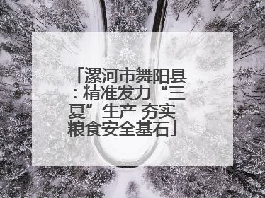 漯河市舞阳县：精准发力“三夏”生产 夯实粮食安全基石
