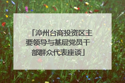 漳州台商投资区主要领导与基层党员干部群众代表座谈