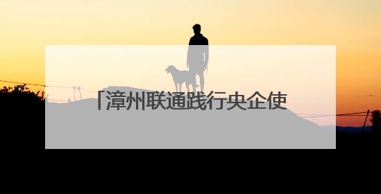漳州联通践行央企使命 以通信赋能构建民生服务创新生态