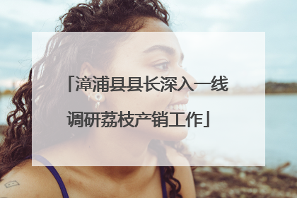 漳浦县县长深入一线调研荔枝产销工作